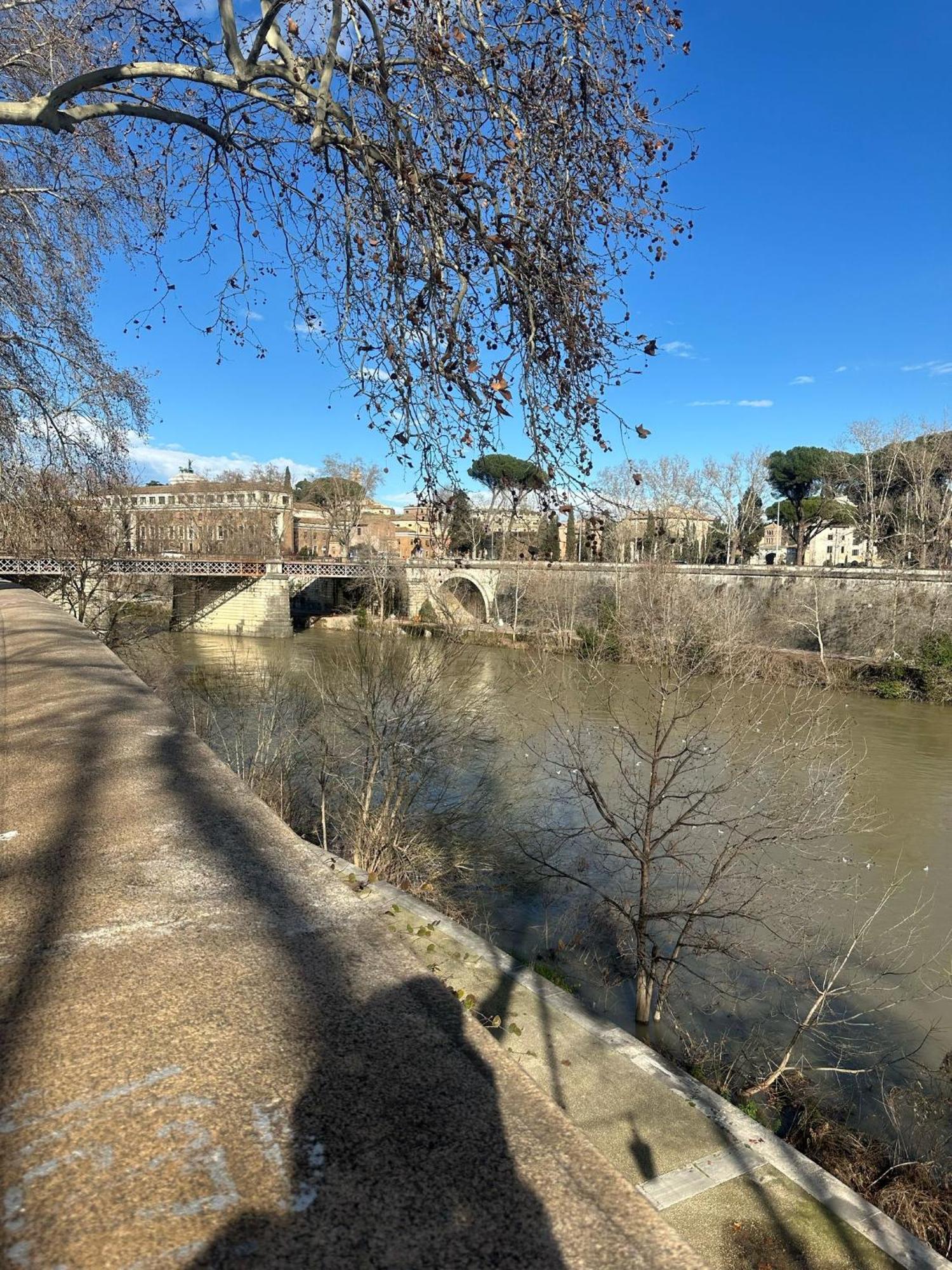 Trastevere Rome'S Heart Charming & Cozy Appartment 3 Экстерьер фото